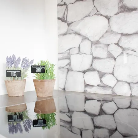 Διαμέρισμα Lille 2 *